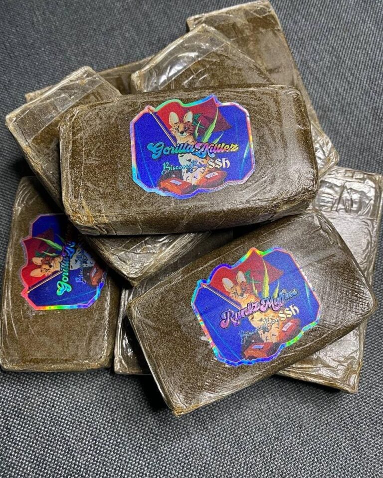 BiscottiBoys-SSh-2-768x960 (1) BiscottiBoys SSh