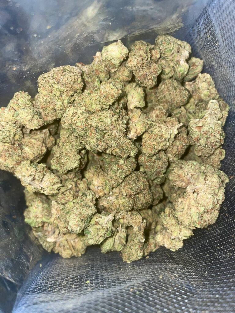 Jelly-Biscuit-768x1024