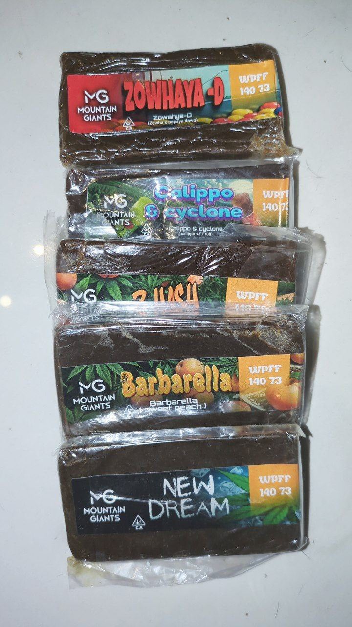 -OYIfwF3HEvksPUdYnBD Mountain Giants Hash